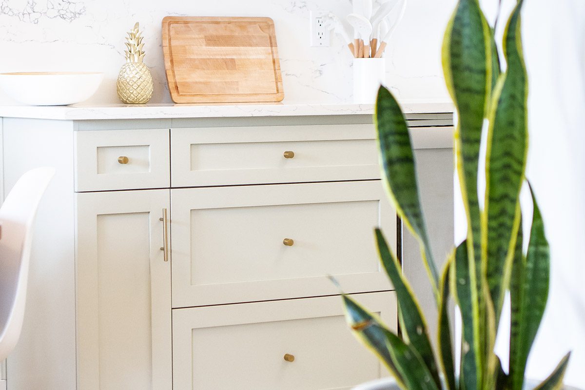 Dave-Catherine-kitchen-details-3